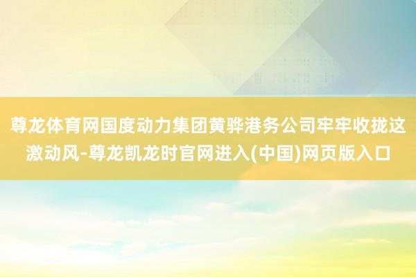 尊龙体育网国度动力集团黄骅港务公司牢牢收拢这激动风-尊龙凯龙时官网进入(中国)网页版入口