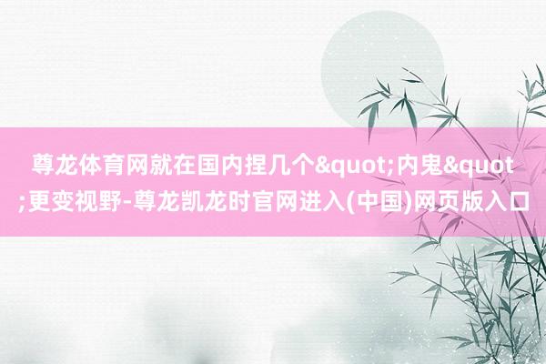 尊龙体育网就在国内捏几个"内鬼"更变视野-尊龙凯龙时官网进入(中国)网页版入口