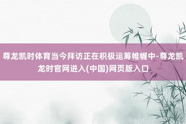 尊龙凯时体育当今拜访正在积极运筹帷幄中-尊龙凯龙时官网进入(中国)网页版入口
