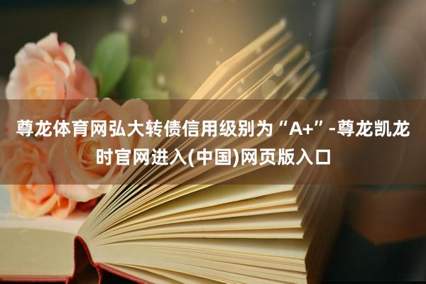 尊龙体育网弘大转债信用级别为“A+”-尊龙凯龙时官网进入(中国)网页版入口